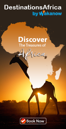 Book cheap flights to accra